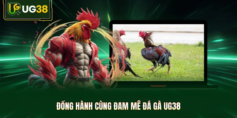 đá gà thomo ug38