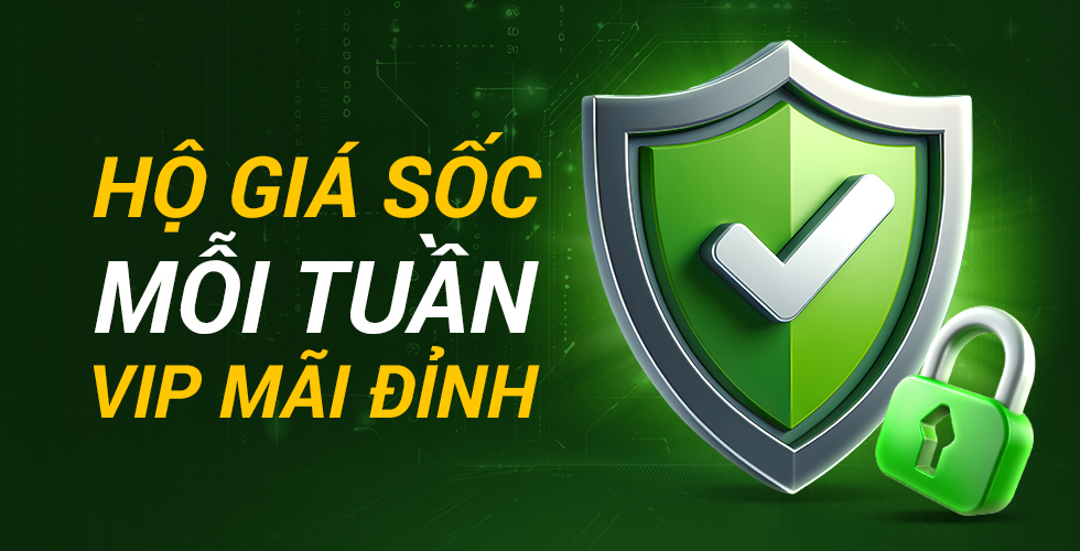 promotion_protection_vip1