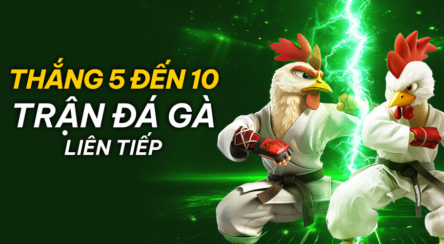 win_5_10_cockfights